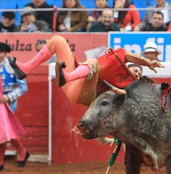 Female Bullfighter Gets Gored By Bull Barnorama