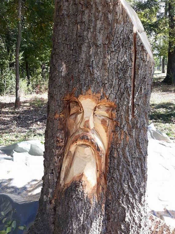 Chainsaw Artist Turns Tree Stump into Illusion of Bucket Pouring Water