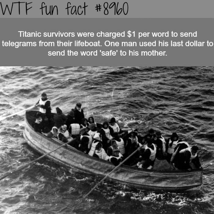 Wtf Fun Facts Collection Barnorama