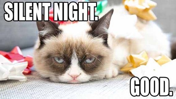 days-of-grumpy-cat-