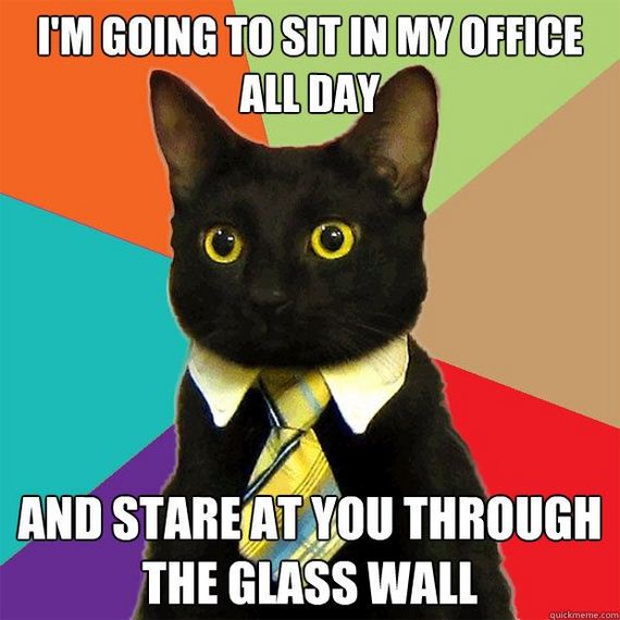 business_cat