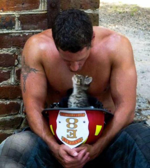 Hot-firefighters-puppies