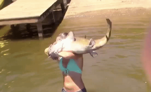 caught_catfish
