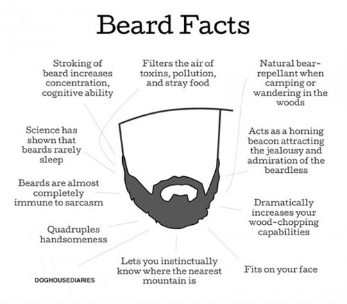 beard-facts