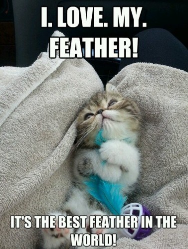 feather