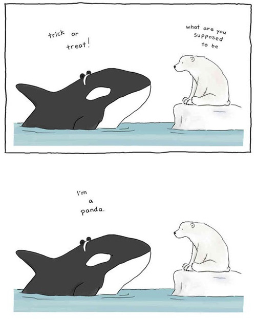 orca