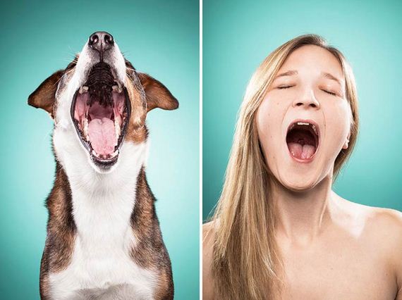 Photographer Asks Owners to Pose Like Their Dogs - Barnorama