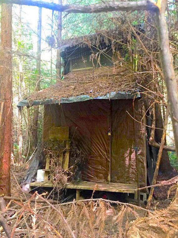 Creepy cabin in the woods holds a mystery within - Barnorama