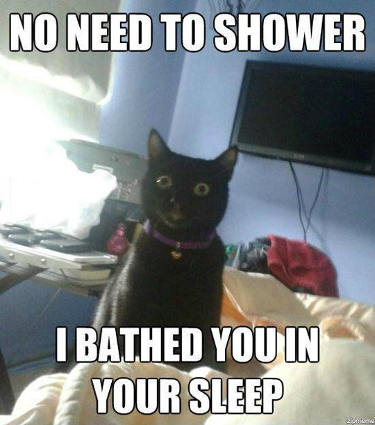 cool-cat-shower-sleep-creepy