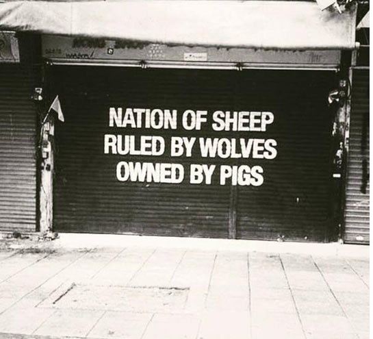 funny-quote-nation-sheep-street