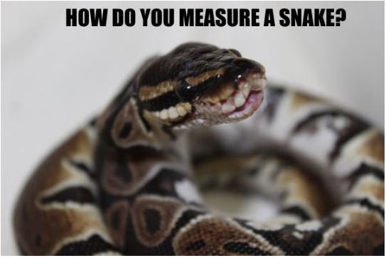 Snake Humor - Barnorama