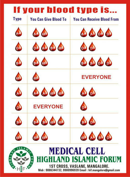 Easy Blood Type Guide Barnorama