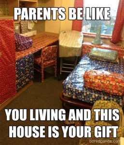 50 Hilarious Christmas Memes - Barnorama