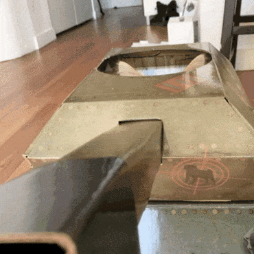 21 Hilarious Cats In Cardboard Tanks - Barnorama