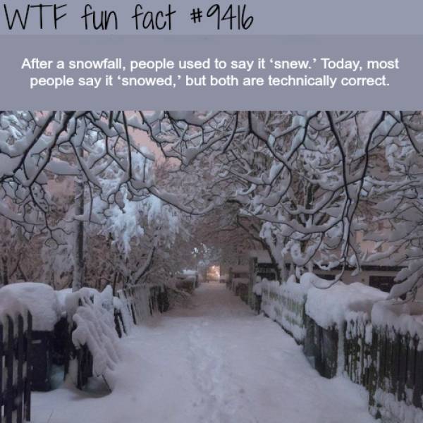 60 Mind Blowing Facts Will Make You Say Wtf Barnorama