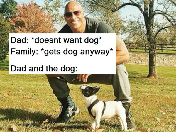 23 Happiest, Most Wholesome Heckin’ Memes Around The Net - Barnorama