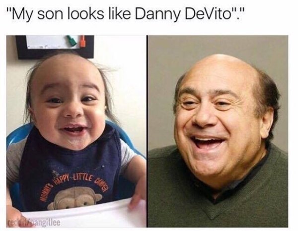 Danny Devito Memes
