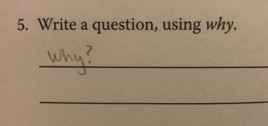 funny assignment answers