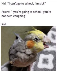 20 Memes That Showcase Internet Humor Inspired By Birds - Barnorama